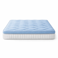 Air Wave Mattress Cool Sleep Supportive and Pressure Relief Air Wrapped Coils Comforthable Mattress Topper Affordable Queen&Ss — hero white