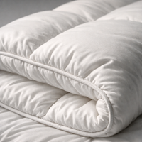 Hotel Style Comforter Queen Kinglightweight Fluffy Comfortable and Breathable Soft Winter Quilt Very Warm 220X240 Quilts Blanket — detail