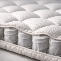 Air Wave Mattress Cool Sleep Supportive and Pressure Relief Air Wrapped Coils Comforthable Mattress Topper Affordable Queen&Ss — detail