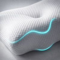 Memory Foam Pillow Core Ergonomic Ice Silk Adult Memory Cotton Neck Support Pillow — detail