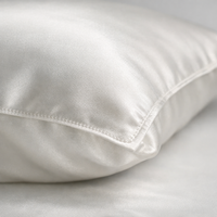 100% Natural Mulberry Silk Pillowcase with OEKO-TEX 19 Momme Luxry Silk Pillow Case Free Shipping — detail