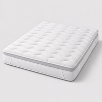 Air Wave Mattress Cool Sleep Supportive and Pressure Relief Air Wrapped Coils Comforthable Mattress Topper Affordable Queen&Ss — angle