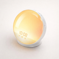 Wake up Light Alarm Clock with Sunrise/Sunset Simulation Dual Alarms FM Radio Nightlight 7 Colors Natural Sounds Snooze — angle