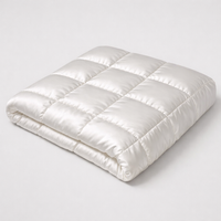 Summer Mulberry Silk Comforter Duvet Insert Luxury Natural Silk Blanket Satin Bedding Quilt Queen Single Double Twin Size Bed — angle