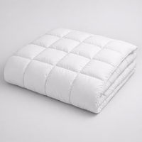 Hotel Style Comforter Queen Kinglightweight Fluffy Comfortable and Breathable Soft Winter Quilt Very Warm 220X240 Quilts Blanket — angle